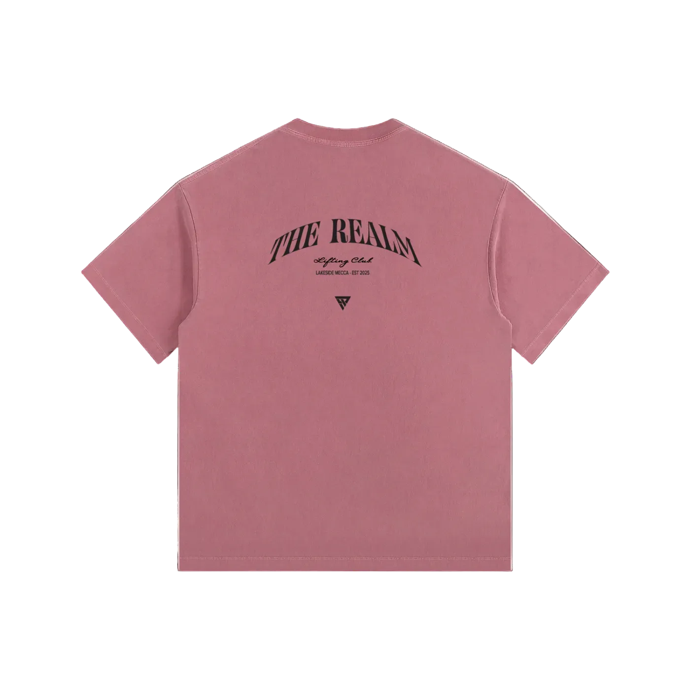 Realm Lifting Club Vintage Tee