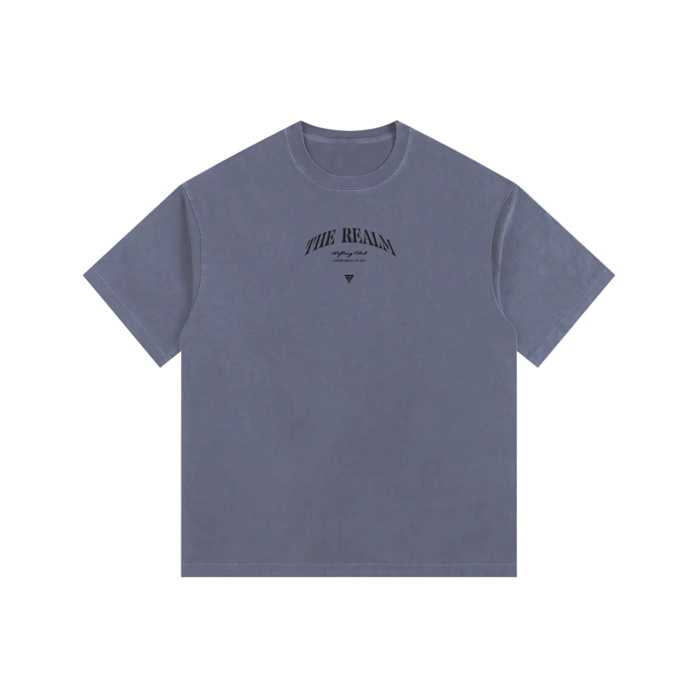 Realm Lifting Club Vintage Tee